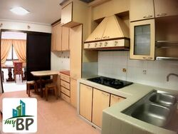 Blk 135 Cashew Road (Bukit Panjang), HDB Executive #441591781